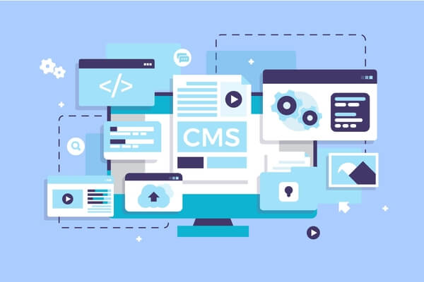 CRM and CMS systems